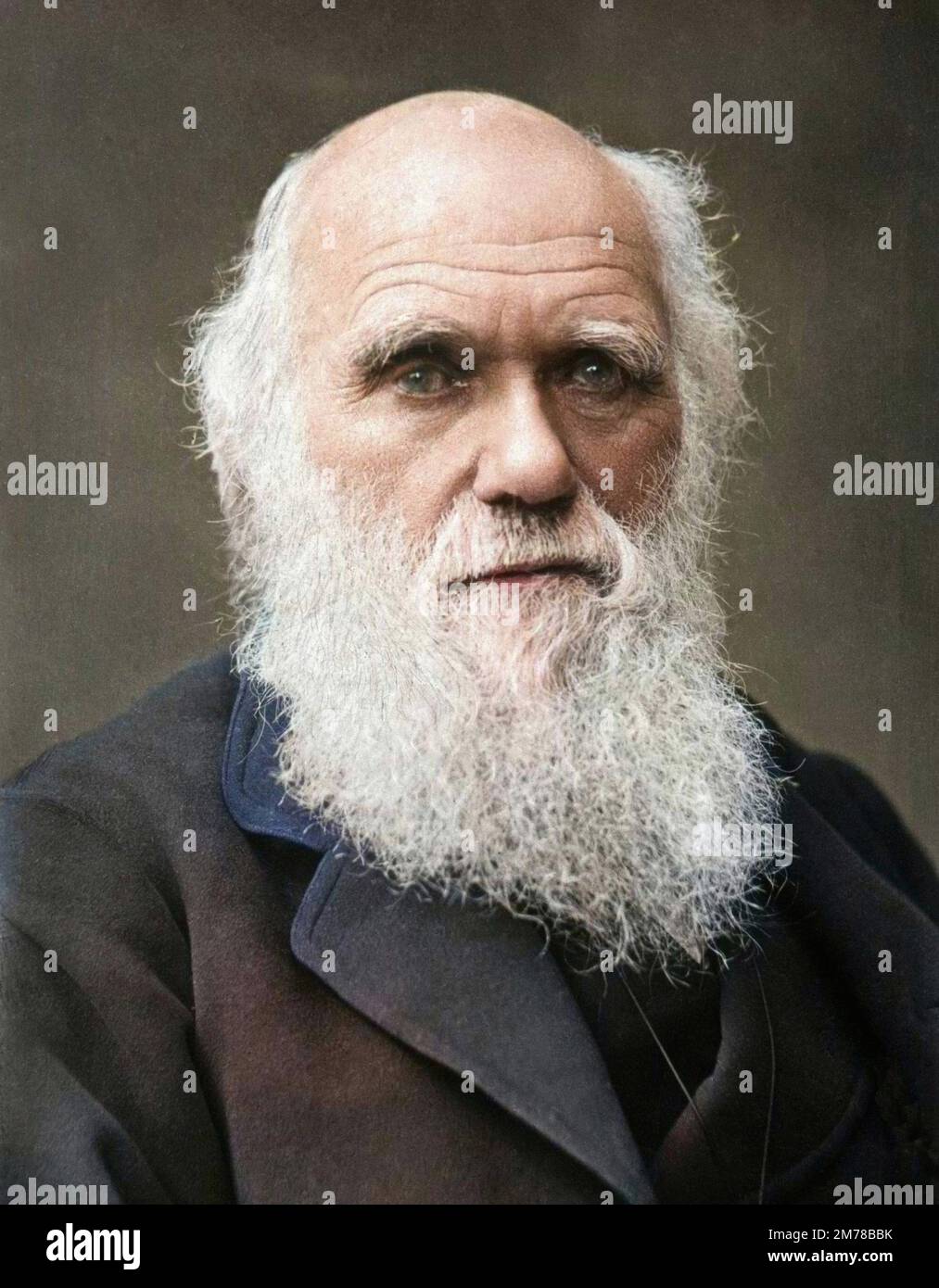 Le naturaliste anglais Charles Robert Darwin (1809-1882) Banque D'Images