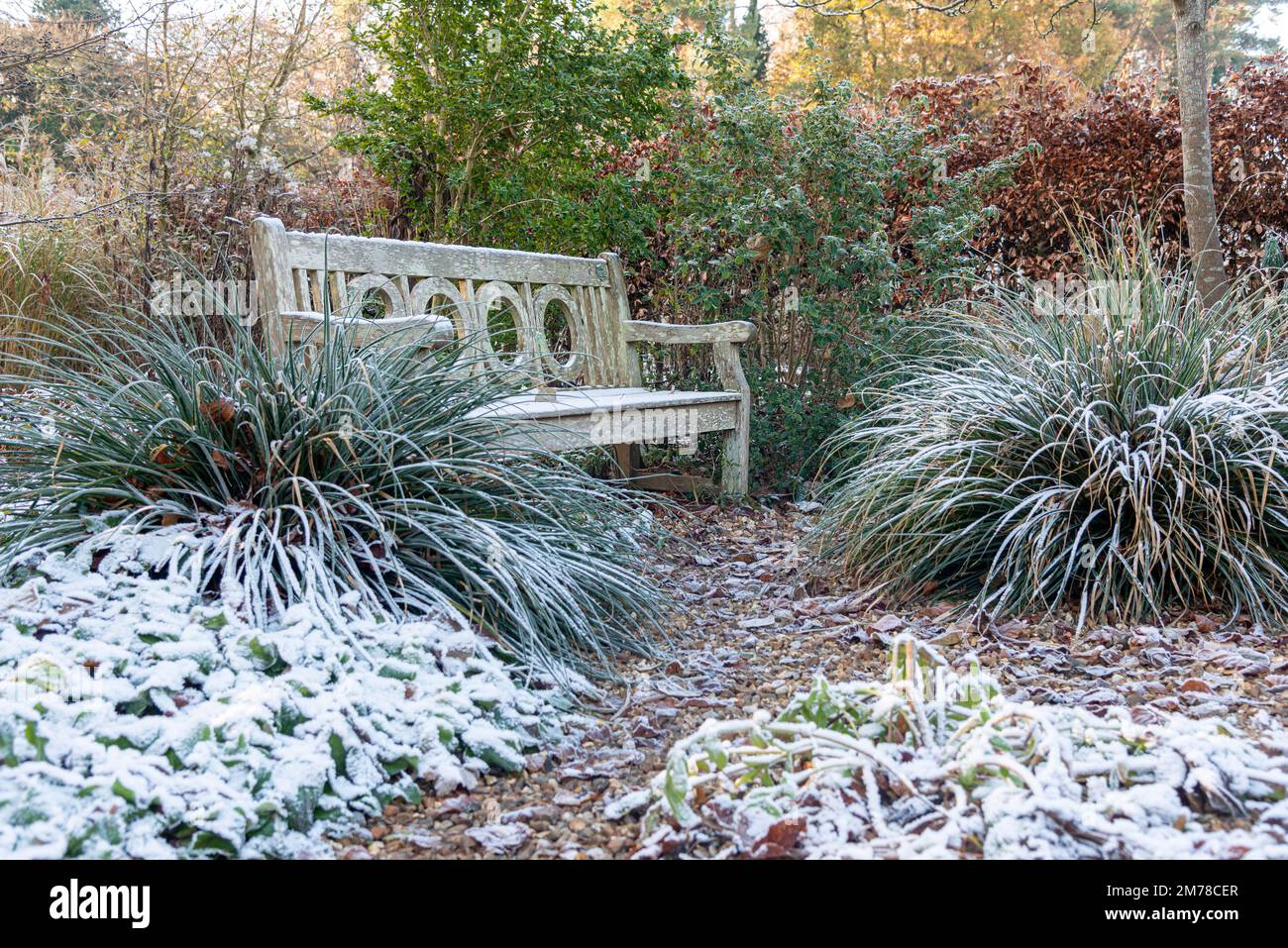 Jardin en hiver avec neige et gel sur les plantes et les herbes, y compris un banc de jardin en bois - Berkshire, Angleterre, Royaume-Uni Banque D'Images