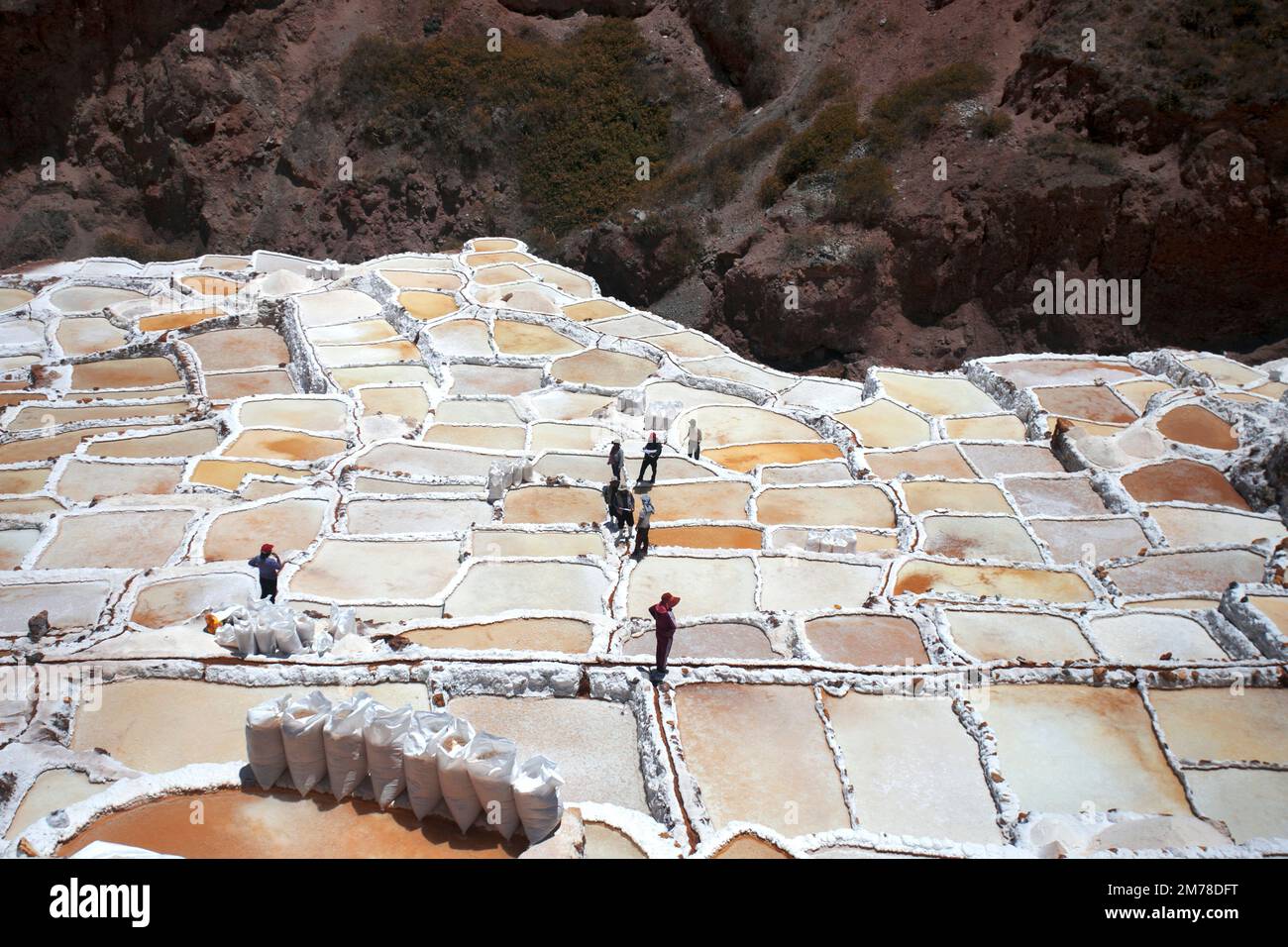 Mines de sel de Maras au Pérou. Banque D'Images