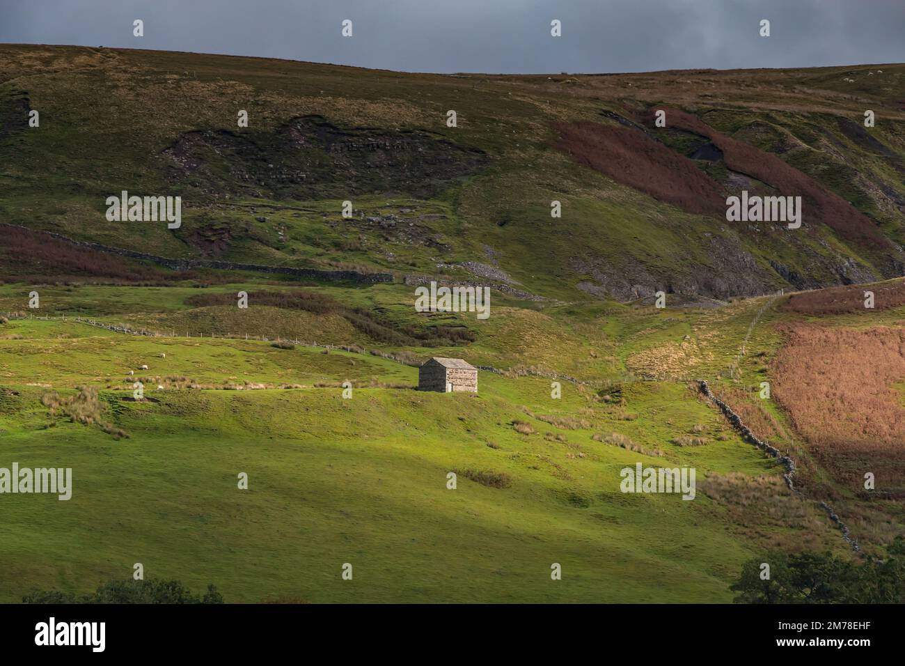 Grange à flanc de colline près de Keld, Swaledale dans le parc national des Yorkshire Dales Banque D'Images