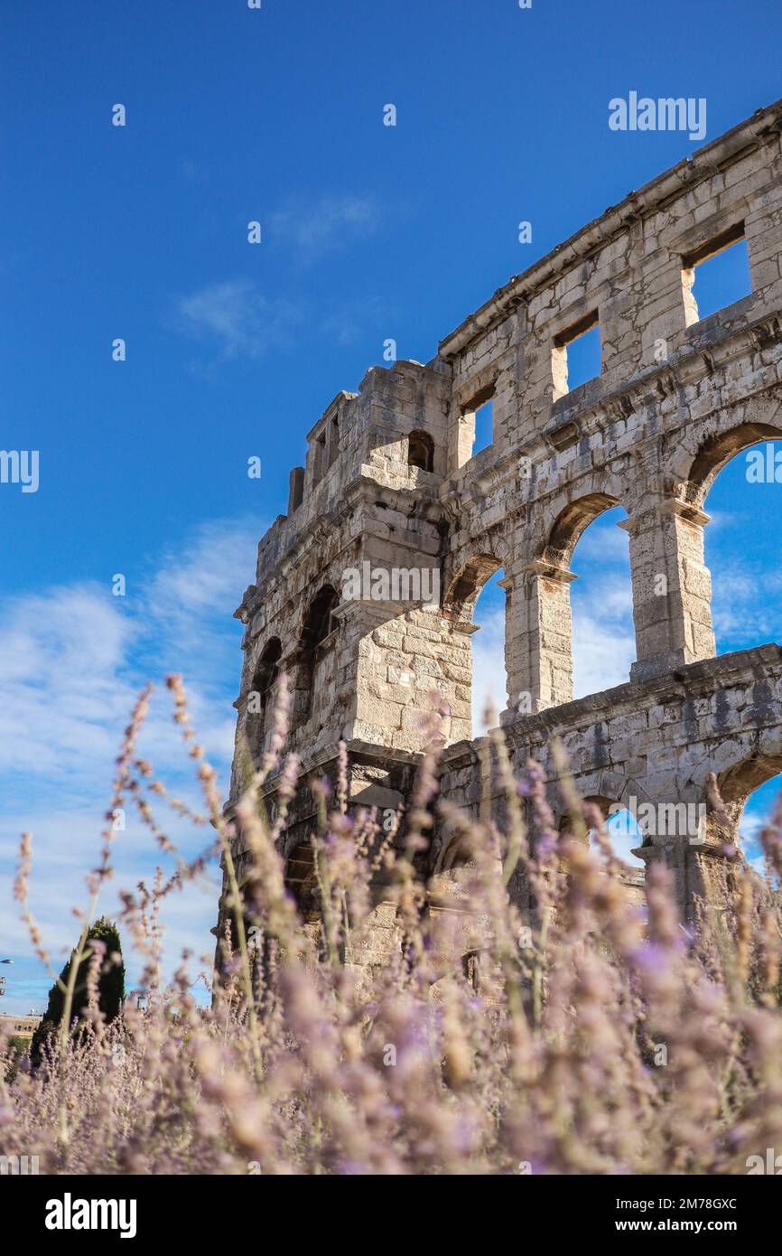 Vue verticale de Pula Arena avec avant-plan de fleurs. Amphithéâtre romain dans la péninsule d'Istrie en Croatie pendant la journée d'été. Banque D'Images