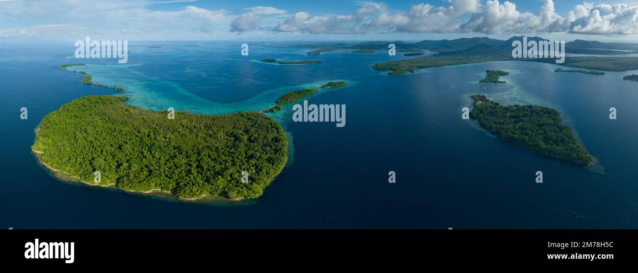 Une île tropicale pittoresque est bordée d'un récif de corail sain dans les îles Salomon. Ce beau pays abrite une biodiversité marine spectaculaire. Banque D'Images