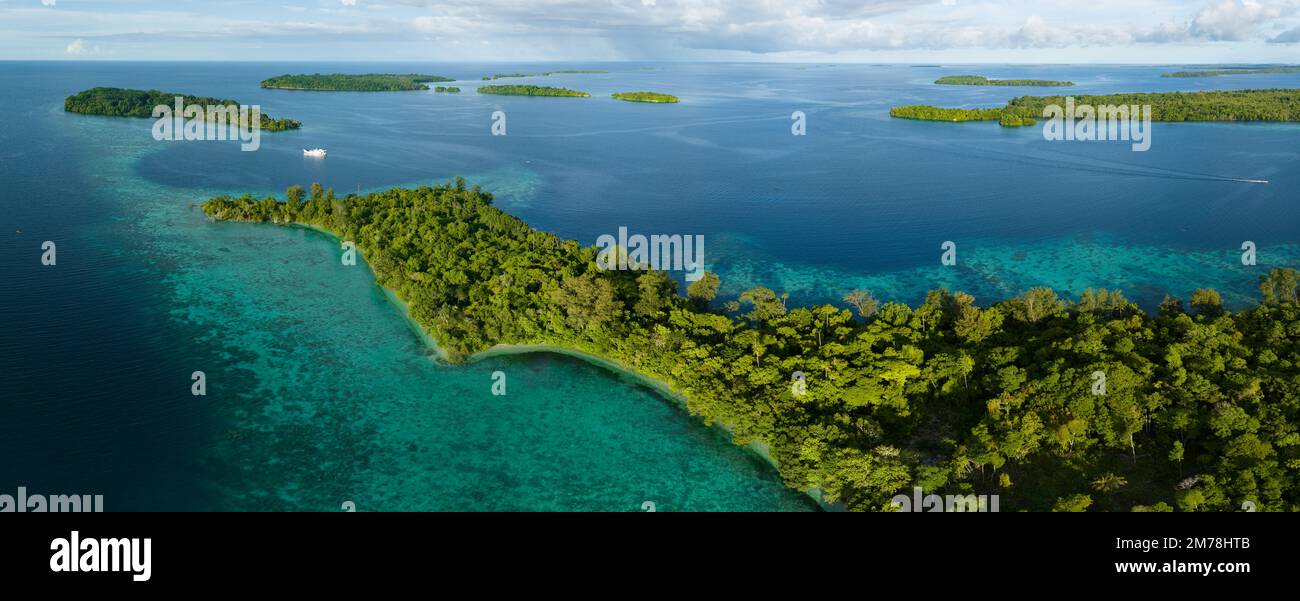 Une île tropicale pittoresque est bordée d'un récif de corail sain dans les îles Salomon. Ce beau pays abrite une biodiversité marine spectaculaire. Banque D'Images