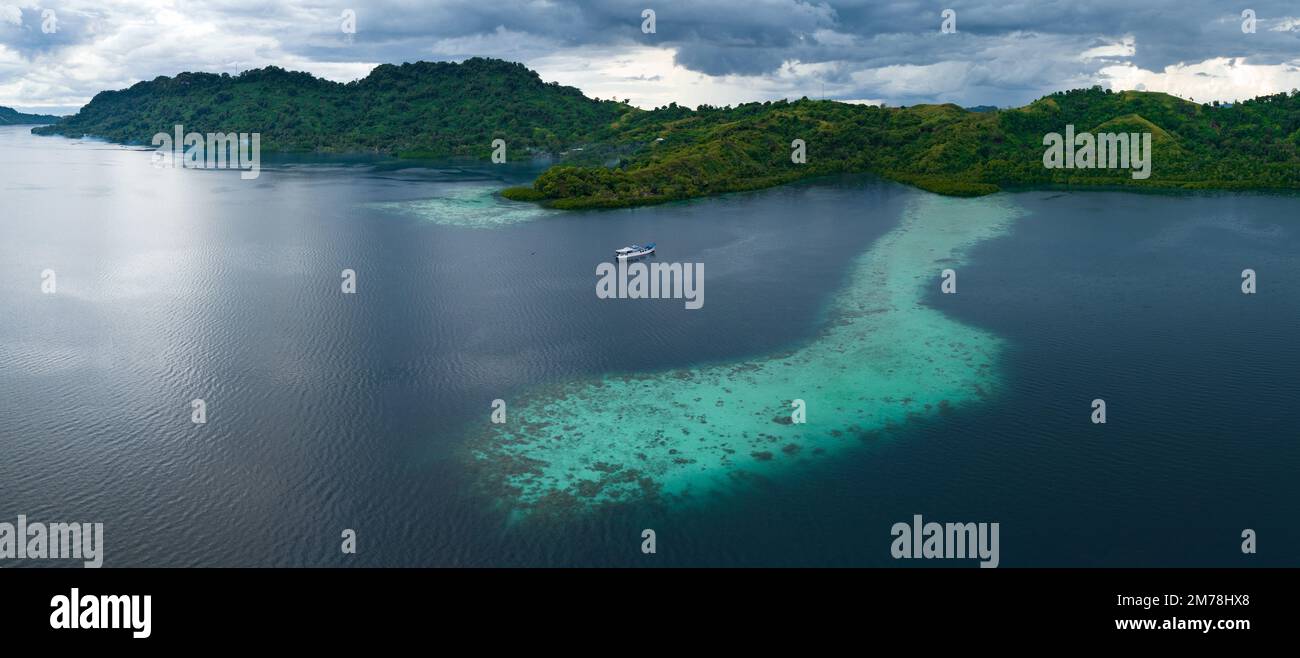 Une île tropicale pittoresque est bordée d'un récif de corail sain dans les îles Salomon. Ce beau pays abrite une biodiversité marine spectaculaire. Banque D'Images