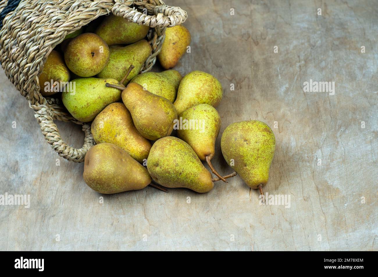 Poires en panier sur fond de bois. Récolte de fruits. L'automne encore la vie. Pear Variety Bera Conference. Nourriture vitaminée. Banque D'Images