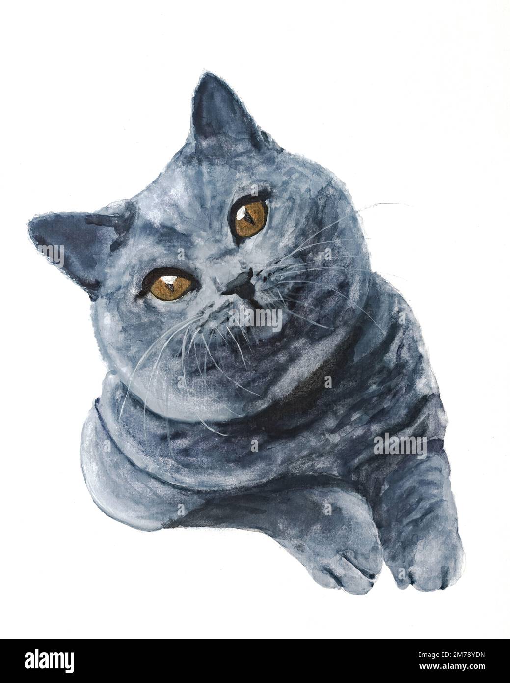 Portrait de chat britannique, peinture d'aquarelle originale Banque D'Images