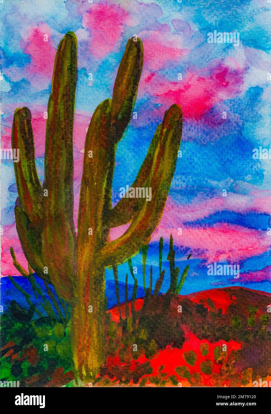 Coucher de soleil dans le parc national de Saguaro, Arizona. Aquarelle. Banque D'Images