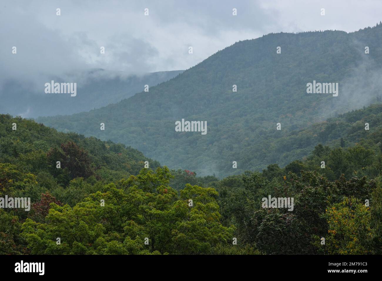 Lafayette est le point le plus élevé de la chaîne de Franconia, une ligne de pics le long de la partie est de Franconia Notch. Il mesure 5 249 pieds d'altitude. Très Banque D'Images