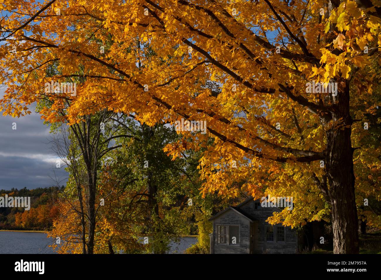 Feuillage d'automne autour du lac Myosotis à Rensselaerville, New York Banque D'Images