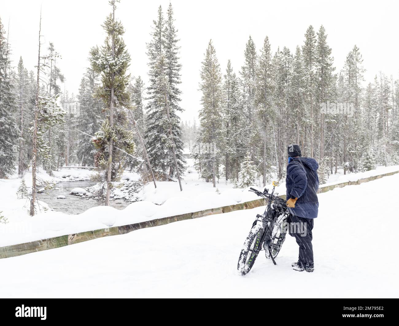 Vélo électrique dans une tempête de neige dans la nature sauvage de l'Idaho Banque D'Images