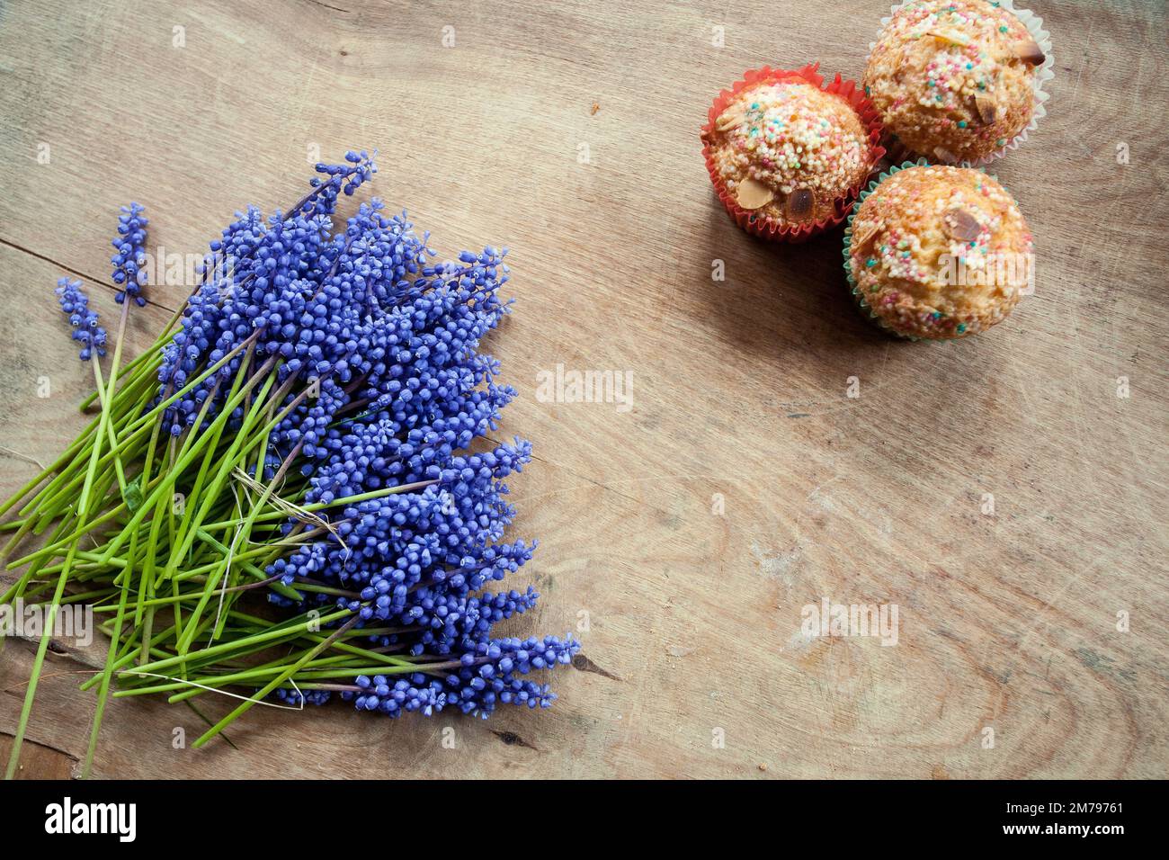 Cuisson de Pâques. Mazurkas et gâteaux de Pâques. Le travail d'un confiseur Banque D'Images