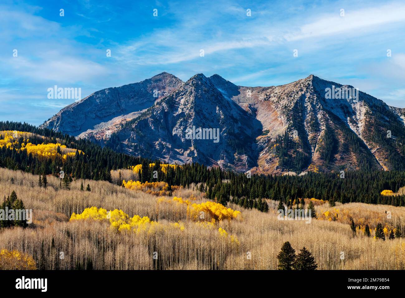 Couleurs des feuillages d'automne; Aspen; Anthracite Range; West Elk Mountains près de Kebler Pass; Colorado; États-Unis Banque D'Images