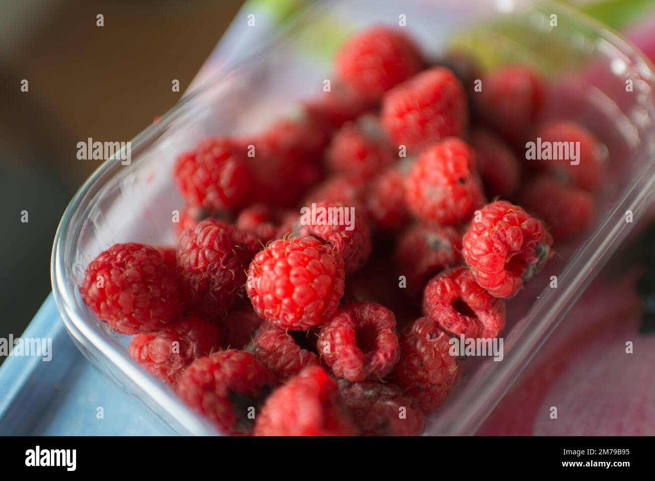 Gros plan d'un récipient en plastique avec des framboises en mauvais état. Couleur rouge vif Banque D'Images