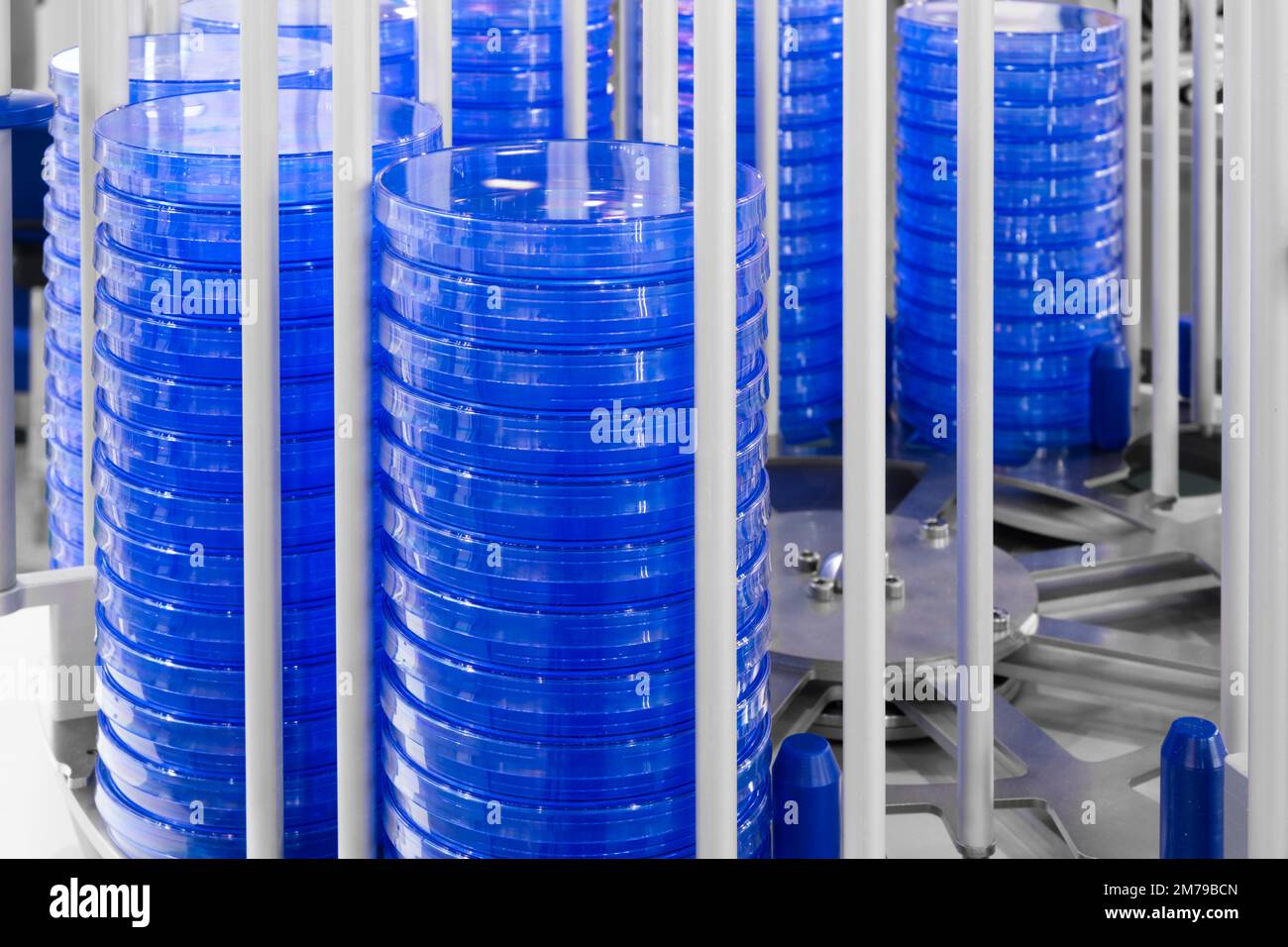 Analyst boîte de Petri laboratoire fond bleu. Analyse chimique biologique, médicale et scientifique. Banque D'Images