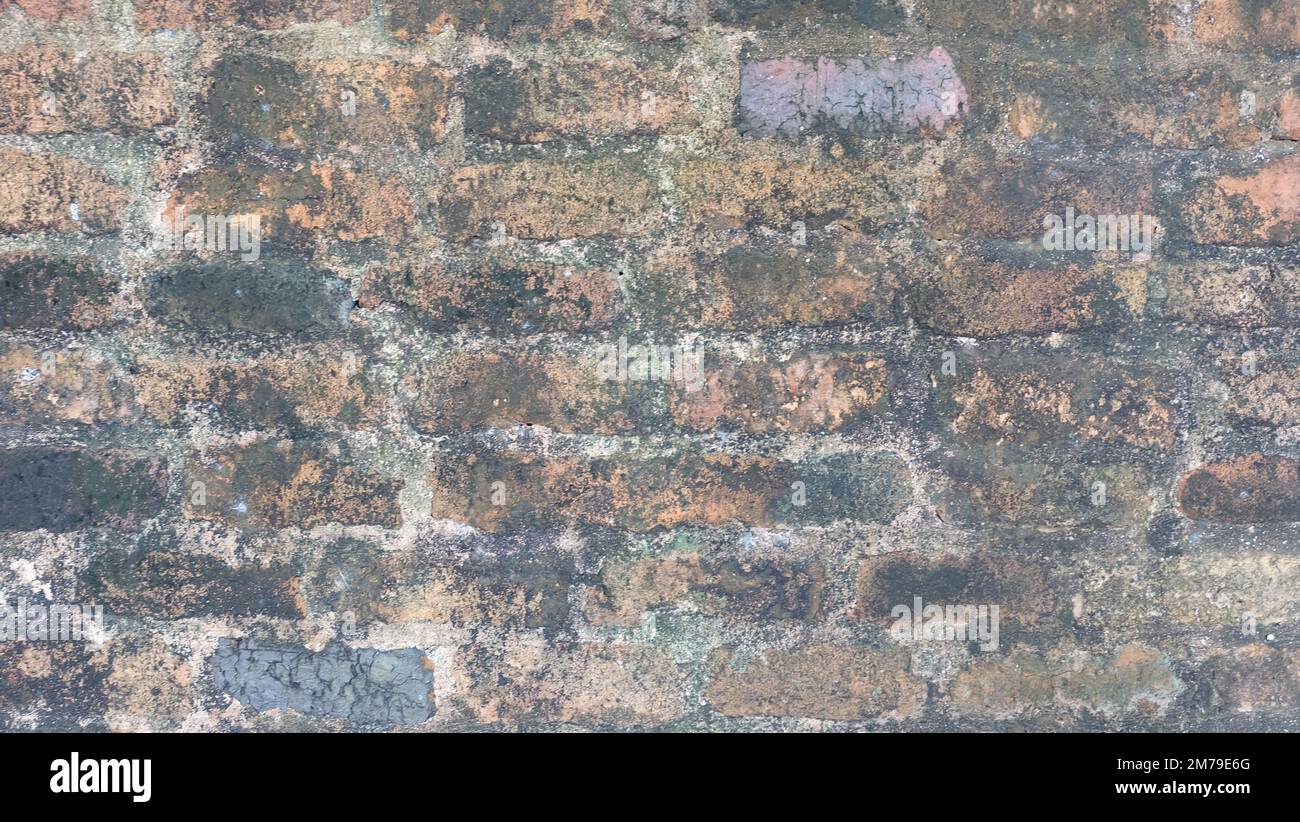 Mur en brique véritable, vieux et sale, recouvert de saleté et de moisissure noires. Banque D'Images