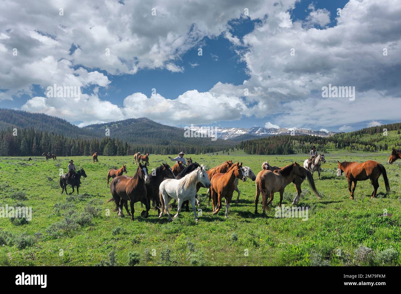 États-Unis ; montagnes Rocheuses ; Wyoming ; comté de Sublette ; Pinedale ; Vol D'Un ranch; m) Banque D'Images