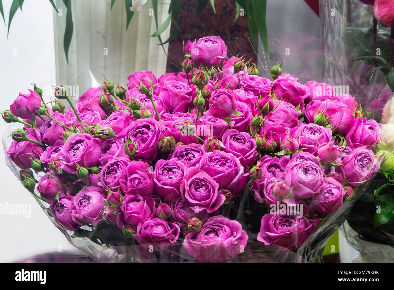 Bouquet d'Eustoma violet magenta à l'entrée du magasin de fleurs. Vitrine.  Belles fleurs pour catalogue, boutique en ligne. Fleurs. Concept fleur sto  Photo Stock - Alamy
