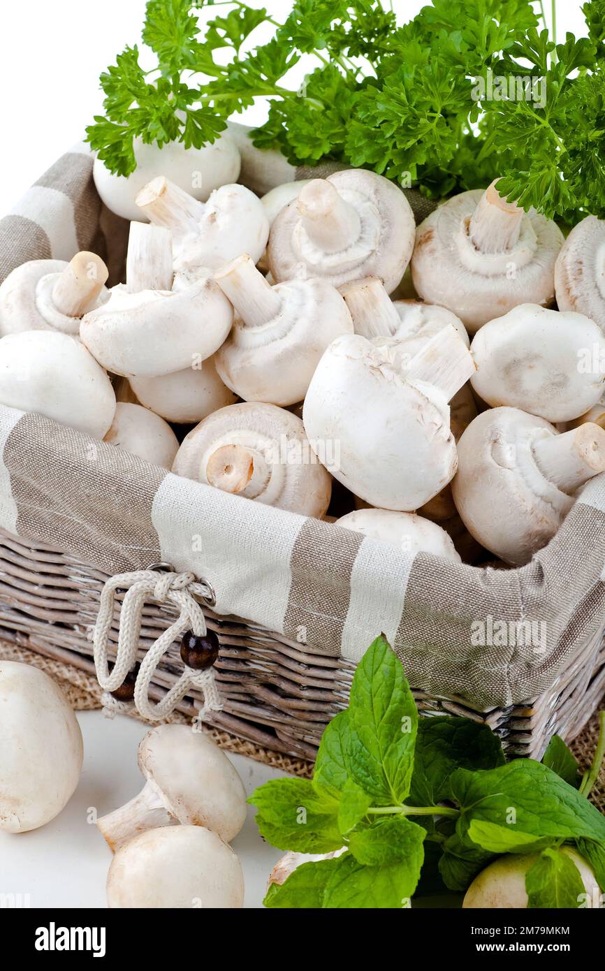 Champignons blancs frais empilés sur un fond blanc avec des herbes fraîches en arrière-plan Banque D'Images Champignons blancs frais empilés sur un fond blanc avec des herbes fraîches en arrière-plan Banque D'Images