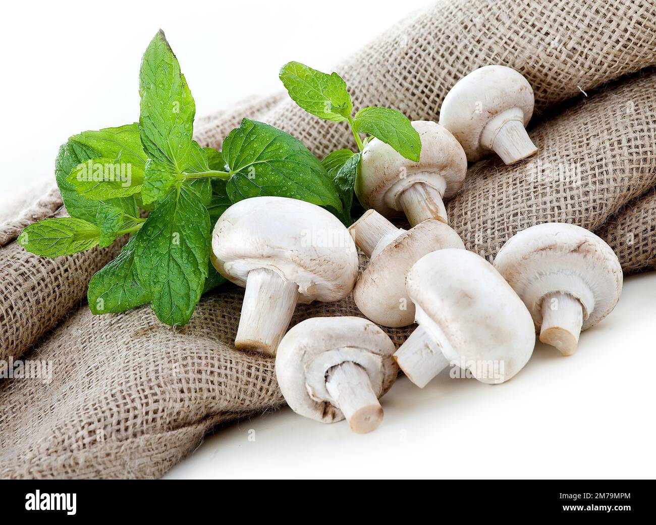 Champignons blancs frais empilés sur un fond blanc avec des herbes fraîches en arrière-plan Banque D'Images Champignons blancs frais empilés sur un fond blanc avec des herbes fraîches en arrière-plan Banque D'Images