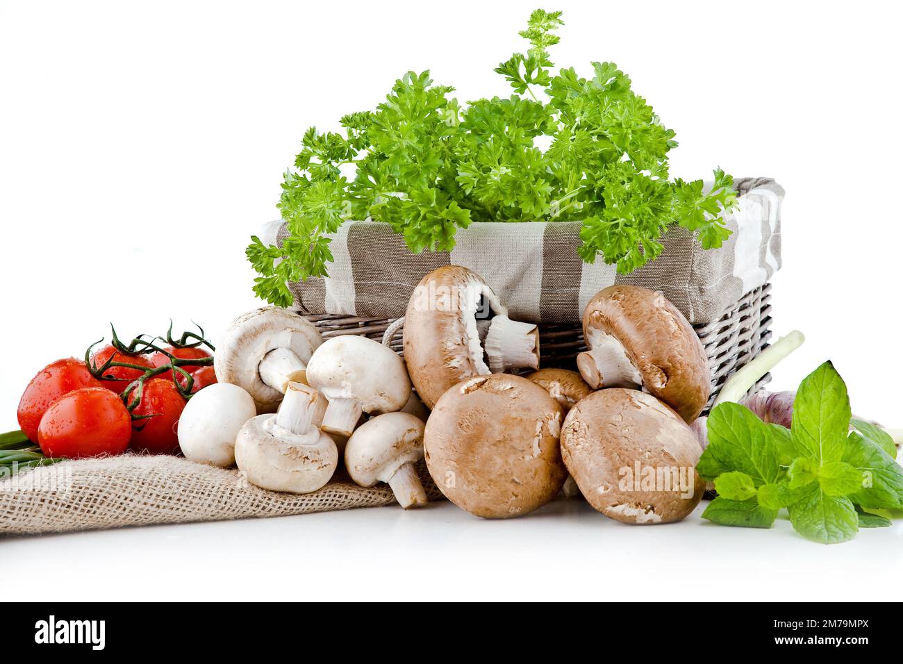 Champignons blancs frais empilés sur un fond blanc avec des herbes fraîches en arrière-plan Banque D'Images Champignons blancs frais empilés sur un fond blanc avec des herbes fraîches en arrière-plan Banque D'Images