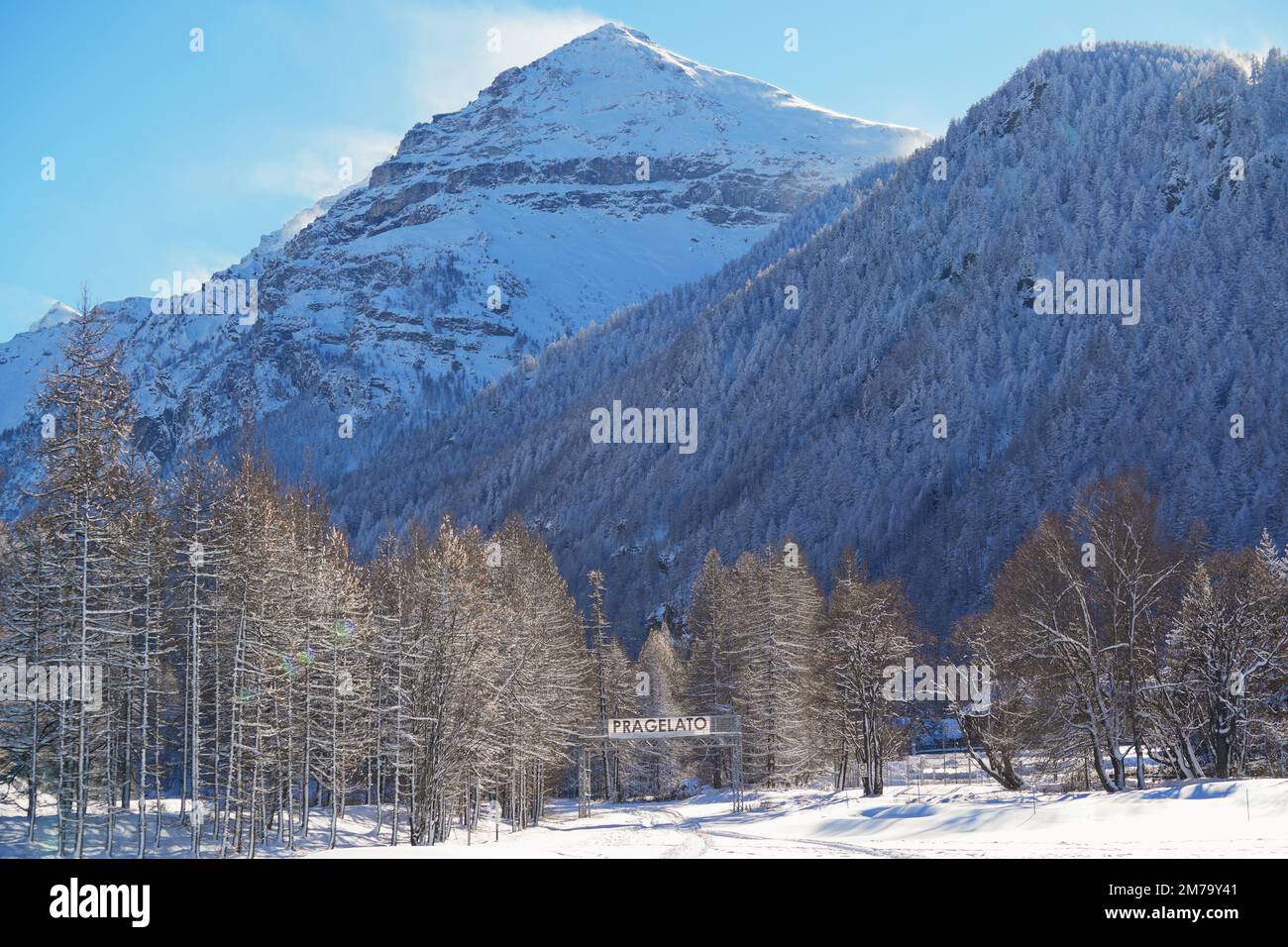 Forêt de montagne avec sapins enneigés. Belle scène extérieure des Alpes du Piémont. Beauté de la nature concept de fond. Banque D'Images