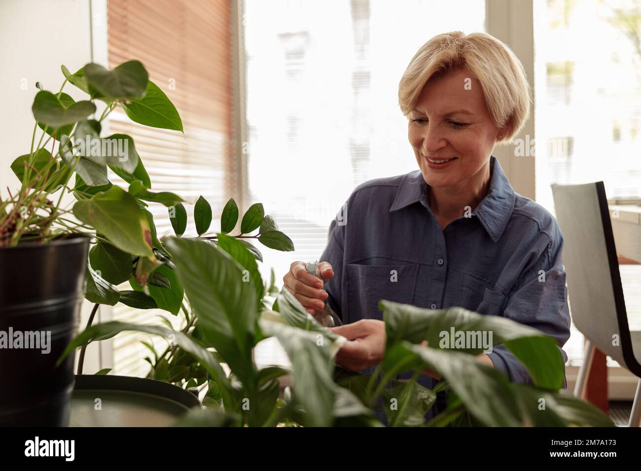 Bonne femme mûre prenant soin et arroser les plantes de maison à la maison. Concept de soins pour les travaux ménagers et les plantes Banque D'Images