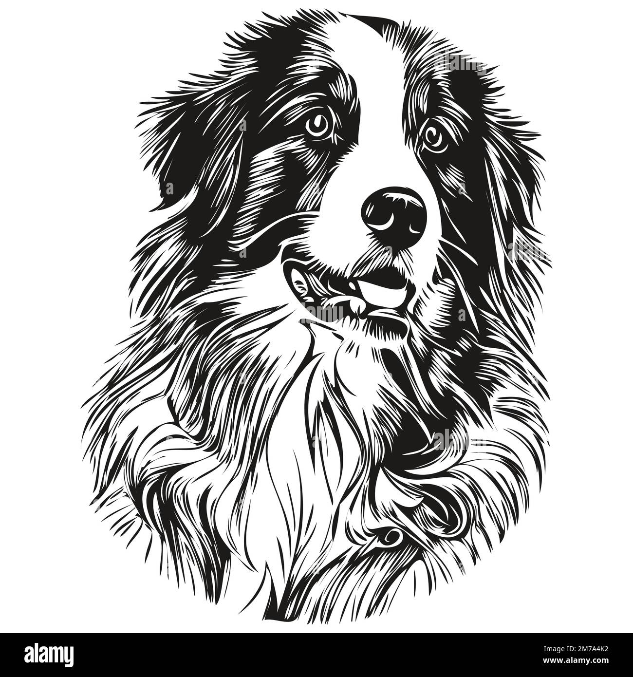 Australian Shepherd Dog main dessiné logo ligne art vecteur dessin noir et blanc animaux illustration Illustration de Vecteur