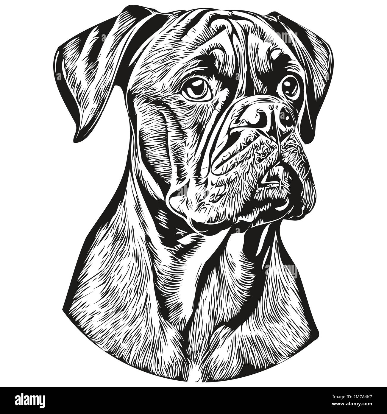 Boxer chien dessin main logo ligne art vecteur dessin noir et blanc animaux illustration Illustration de Vecteur