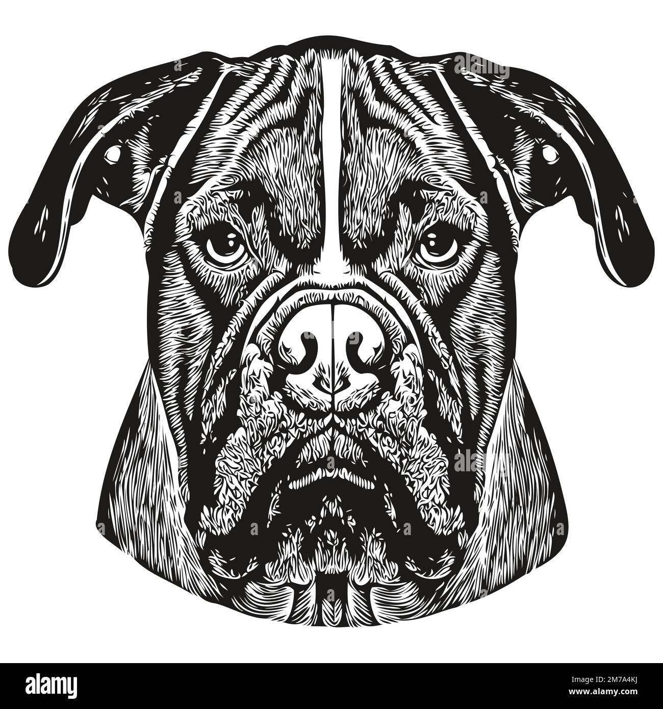 Boxer chien dessin main dessin vectoriel dessin noir et blanc logo animaux illustration Illustration de Vecteur