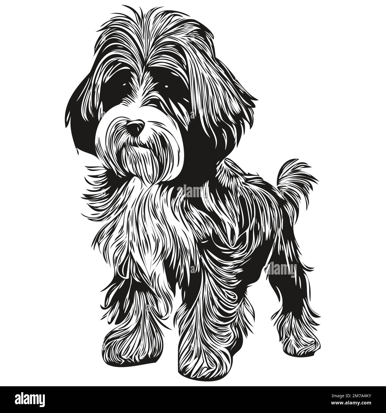 Dessin de dessin de dessin de ligne vectorielle noir et blanc pour animaux de compagnie dessin de chien Bichon Havanais main Illustration de Vecteur