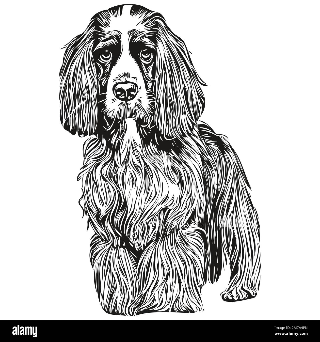 Spaniel anglais Springer chien main dessiné logo ligne art vecteur dessin animaux noir et blanc illustration Illustration de Vecteur
