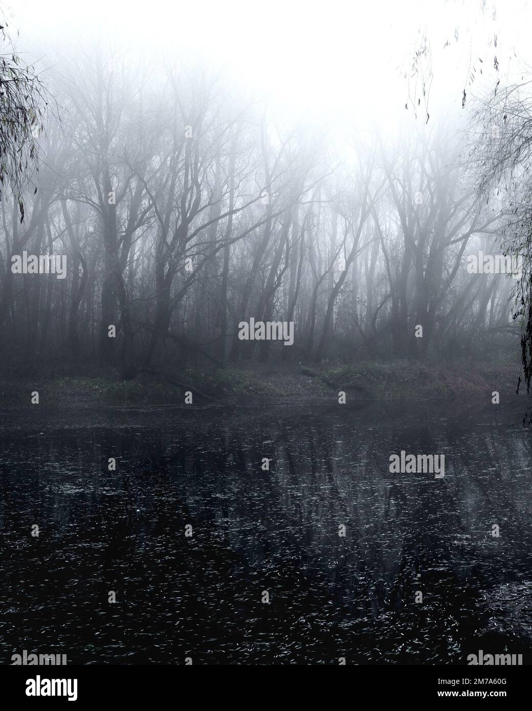 Forêt de métaux noirs, forêt sombre et sombre, atmosphère d'horreur sombre Banque D'Images