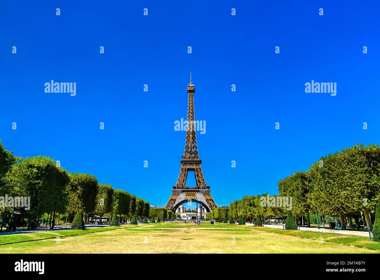 La Tour Eiffel sur le champ de Mars à Paris. Attraction touristique majeure en France Banque D'Images