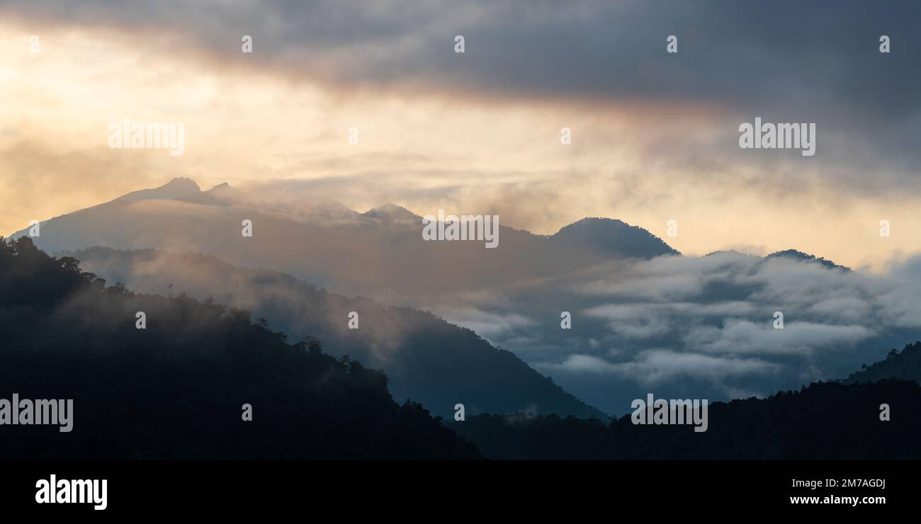 Panorama de la forêt nuageuse de Mindo au lever du soleil avec les sommets des Andes, région de Quito, Equateur. Banque D'Images