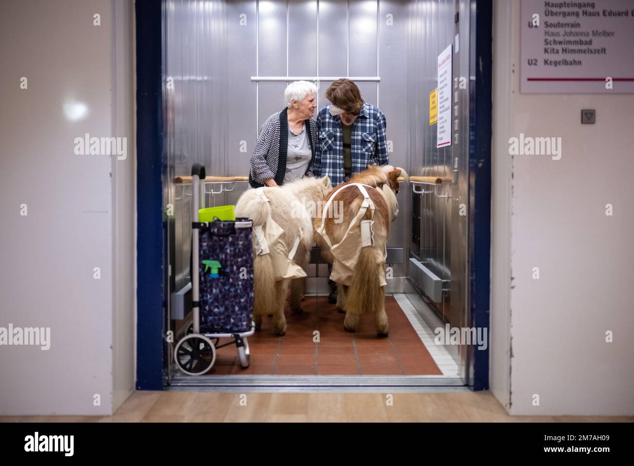 12 décembre 2022, Hessen, Francfort-sur-le-main : la résidante Christine Müller (l) et Andrea Tigges-Angelidis se tiennent dans l'ascenseur avec les poneys Shetland Toffee (l) et Paulinchen au centre de soins Bürgermeister-Gräf-Haus. La visite des poneys apporte de la variété aux résidents. (À dpa-Korr: 'Poney visite à la maison de retraite: 'Les animaux donnent simplement des sentiments de bonheur') photo: Sebastian Gollnow/dpa Banque D'Images