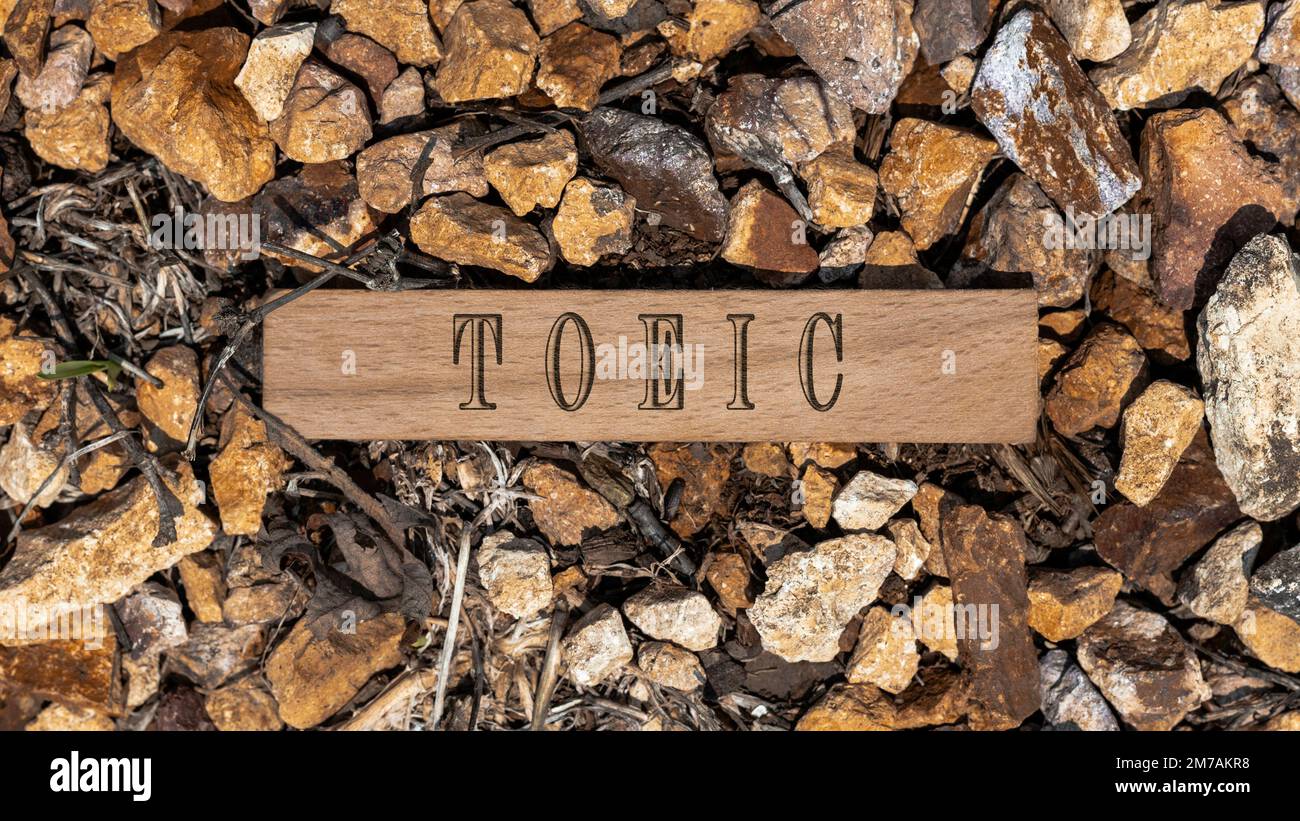 Texte TOEIC. Il a été pris dans le studio écrit sur un cadre en bois. arrière-plan blanc. Banque D'Images