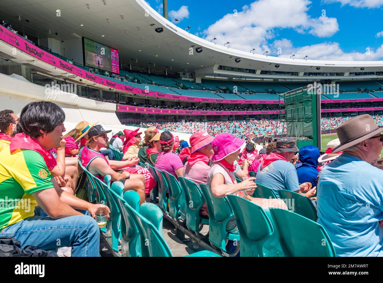 2023 janvier : les Australiens du stand de Clive Churchill portent du rose et regardent le match de cricket (rose) de 3rd entre l'Australie et l'Afrique du Sud Banque D'Images
