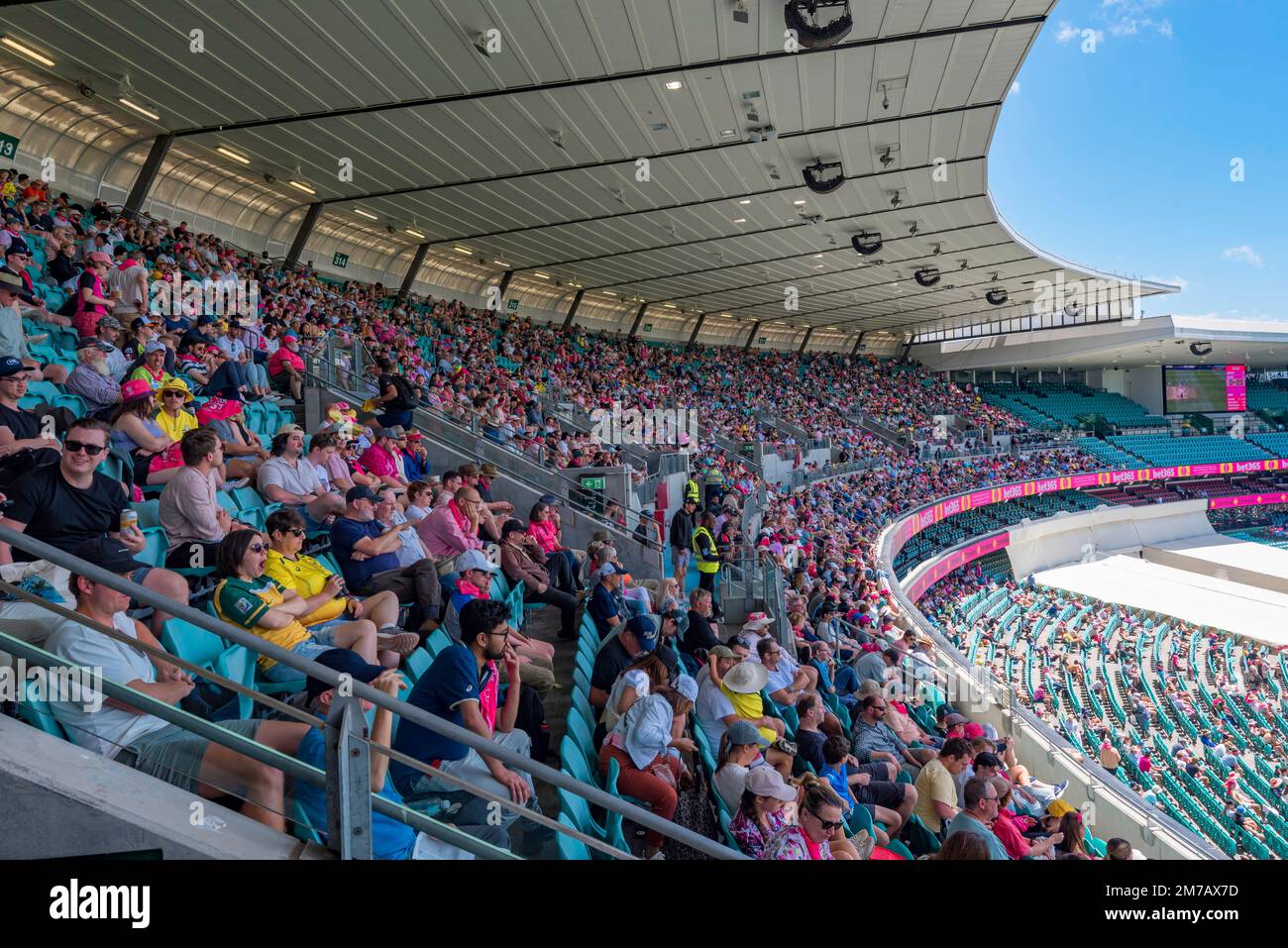 2023 janvier : les Australiens du stand de Clive Churchill portent du rose et regardent le match de cricket (rose) de 3rd entre l'Australie et l'Afrique du Sud Banque D'Images