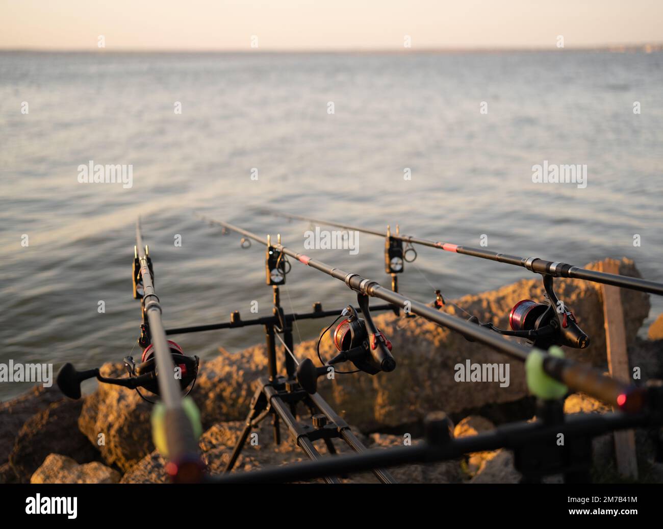 Carpe sur le stand sur la pêche. Banque D'Images