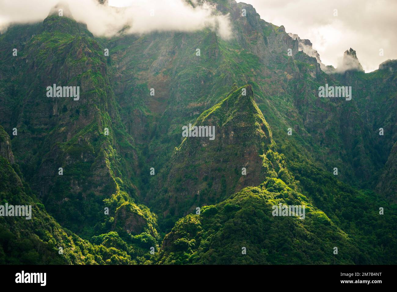 Paysage de montagnes vertes de l'île de Madère par jour nuageux Banque D'Images