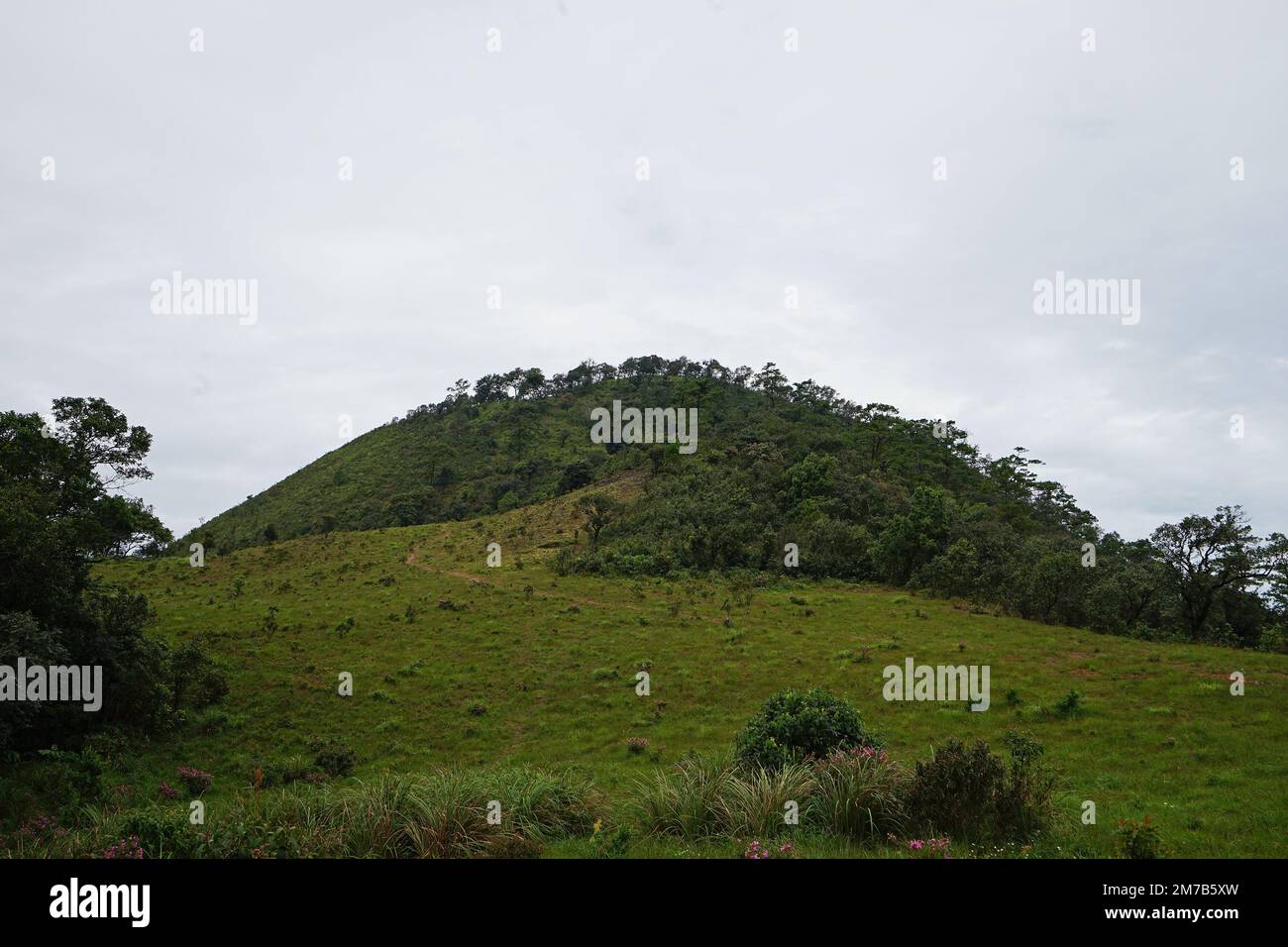 Paysage naturel de Green Mountain Hill avec ciel bleu brumeux Banque D'Images