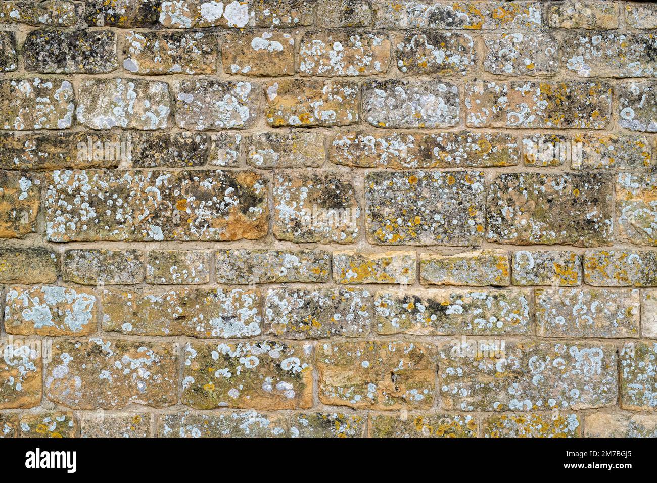 Mur de pierre Cotswold recouvert de lichen. Cotswolds, Angleterre Banque D'Images