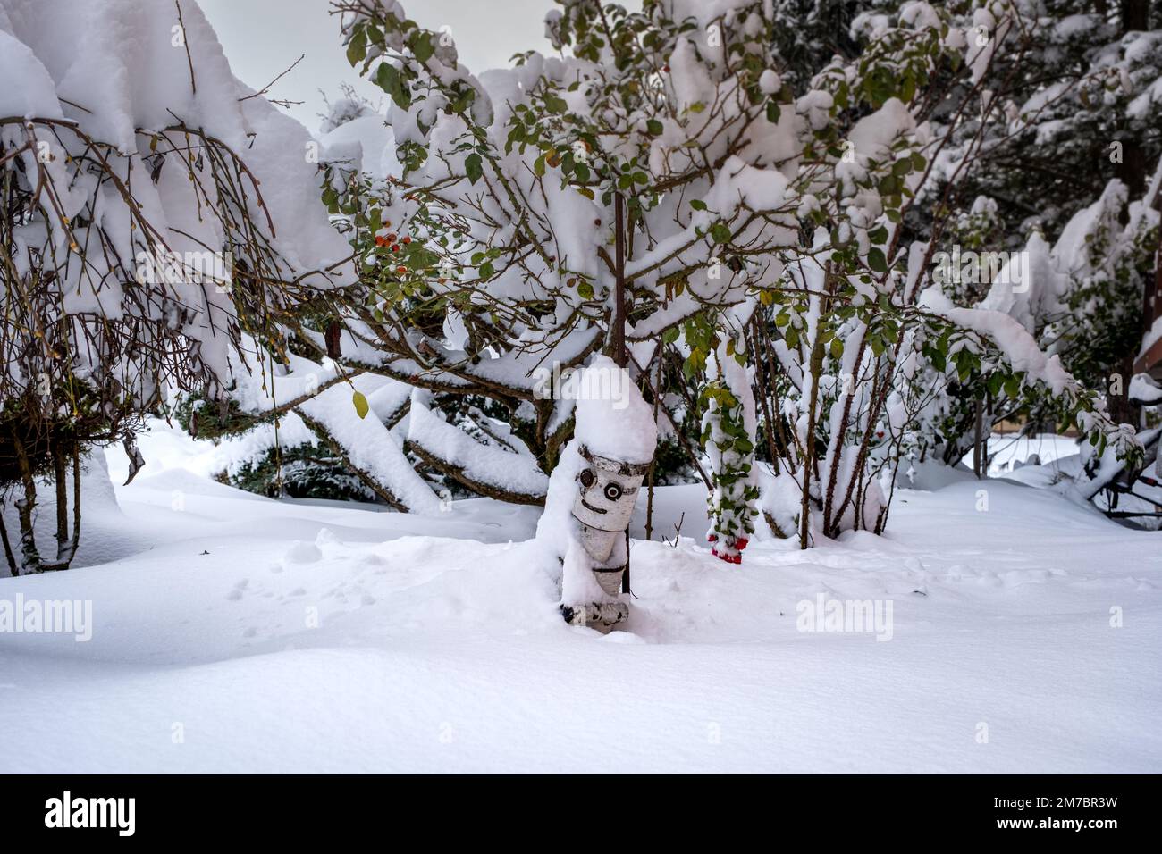 Jardin enneigé - une tempête de neige, de grandes calottes de neige, de grandes dérives sur l'arbre Banque D'Images