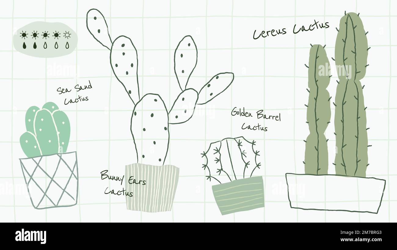 Vecteur de modèle de tableau d'arrosage pour les plantes de maison de cactus Illustration de Vecteur