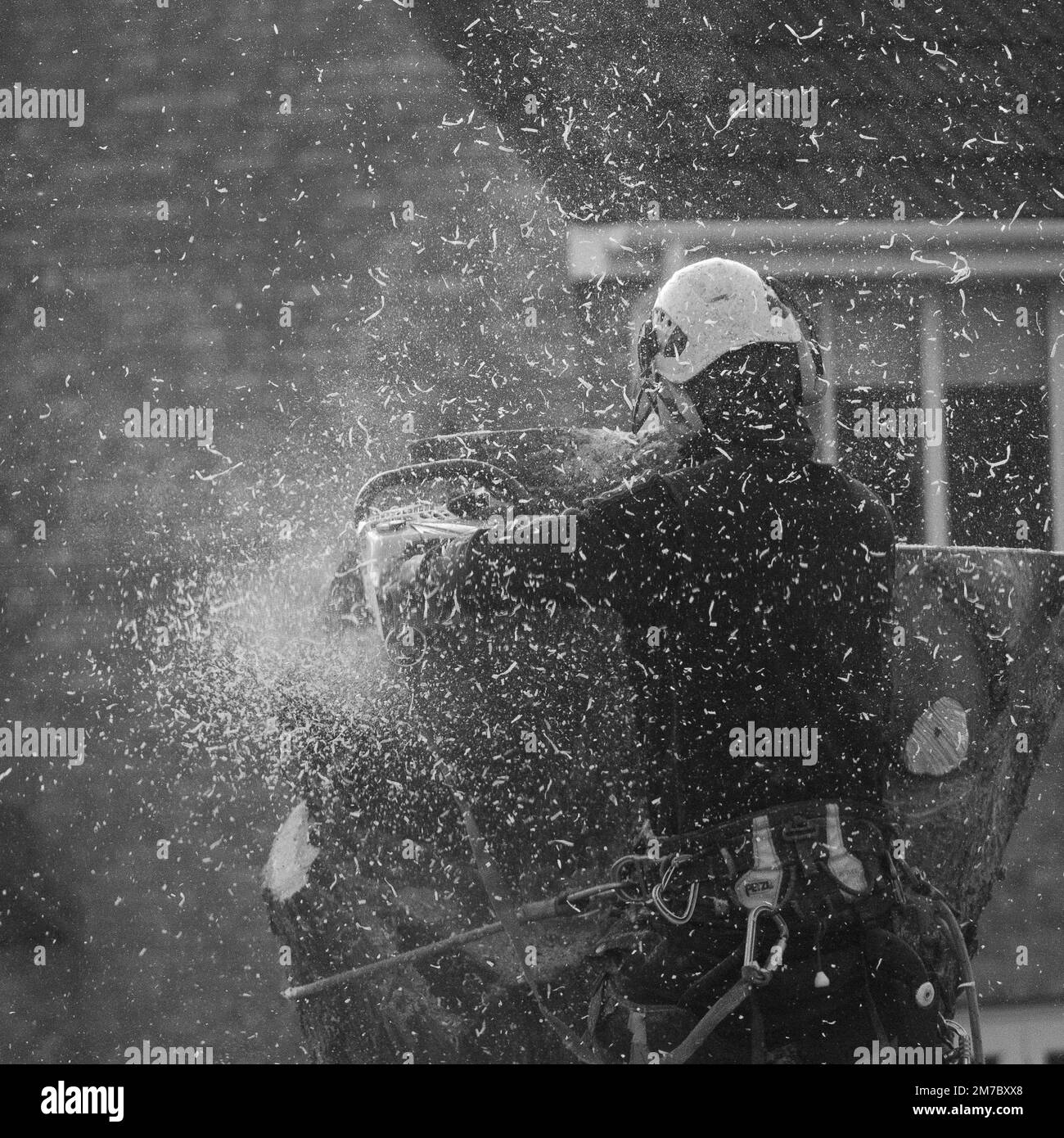 Chirurgien travaillant avec une tronçonneuse Banque D'Images