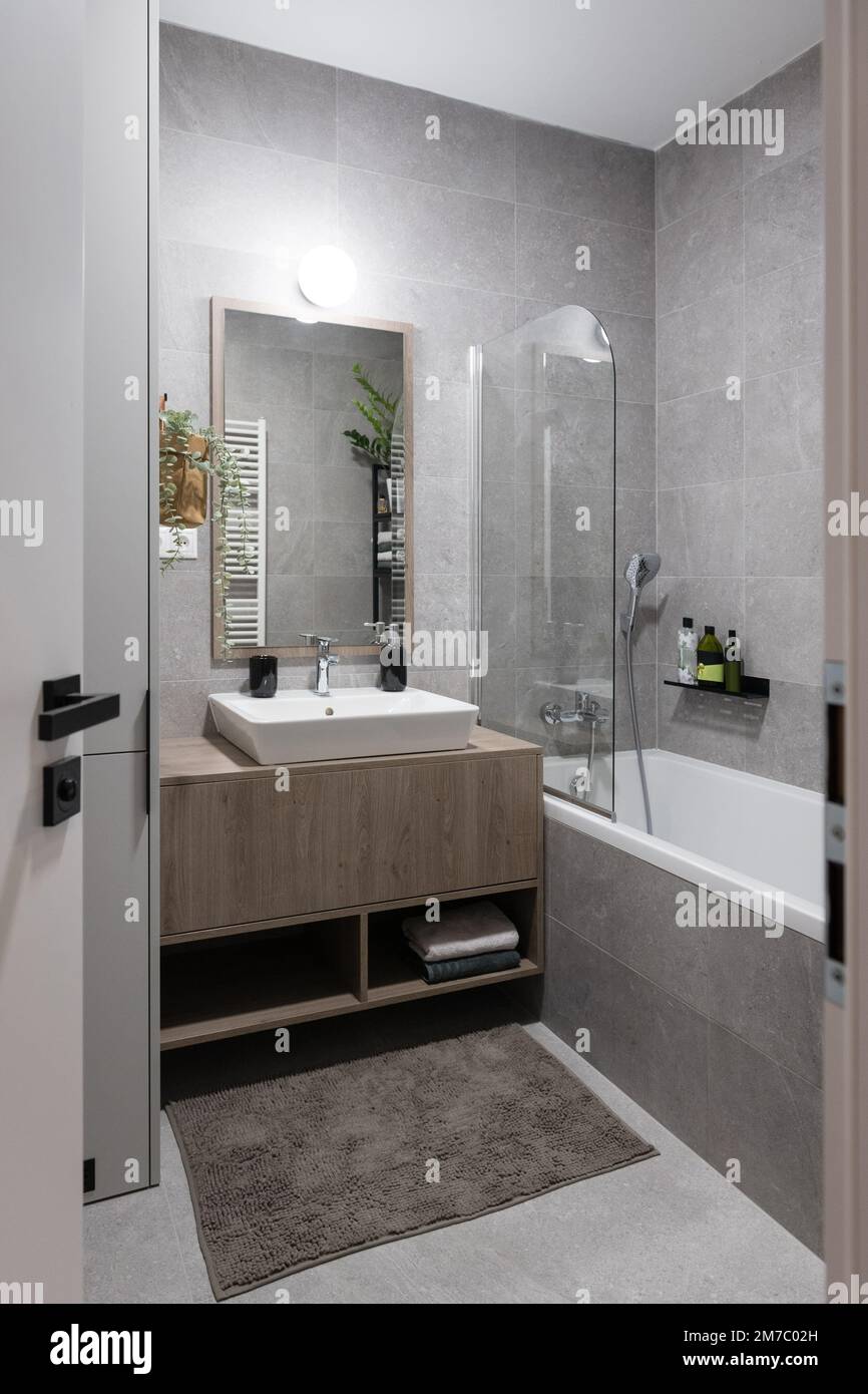 Salle de bains grise de l'appartement moderne Banque D'Images