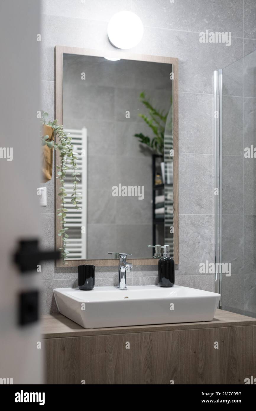 Salle de bains grise de l'appartement moderne Banque D'Images