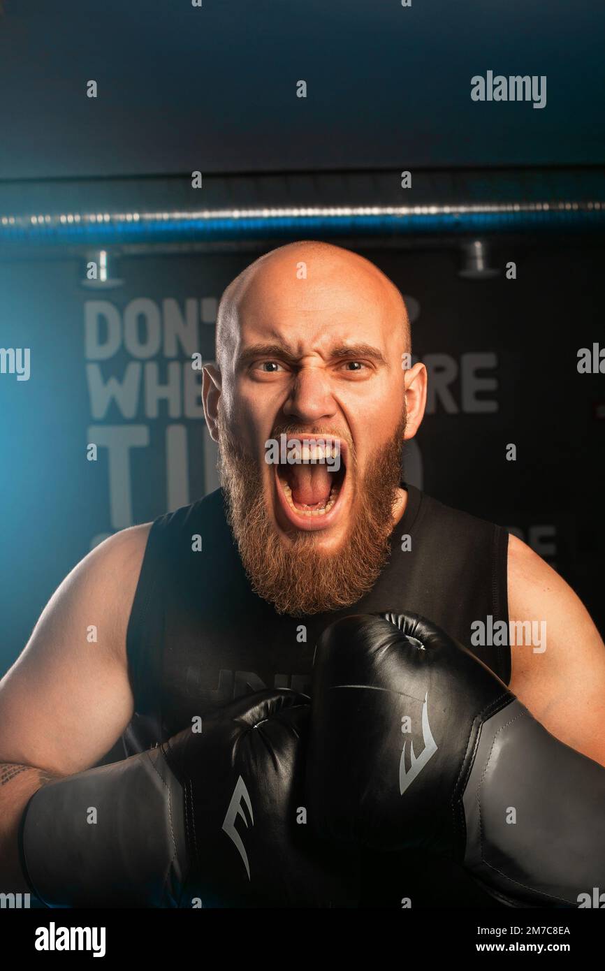 des hommes chauves en gants de boxe qui font des coups de feu dans la caméra Banque D'Images