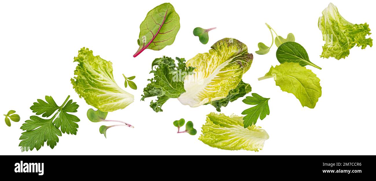 Chute des feuilles de salade isolées sur fond blanc Banque D'Images
