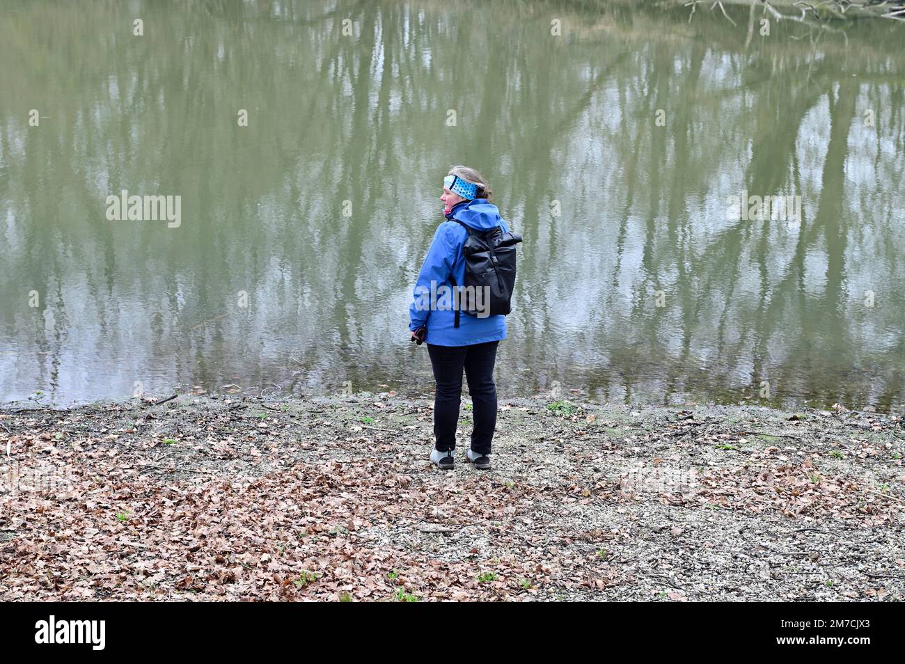 Basse-Autriche, Autriche. Réserve naturelle de Marchauen dans la plaine inondable de la Mars. Zone d'inondation dans le parc naturel Banque D'Images